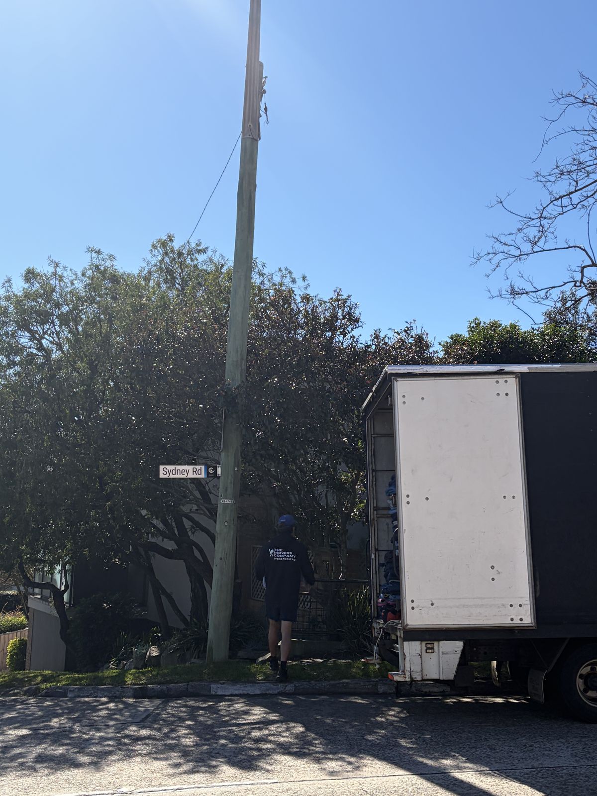 Billy walking towards a house on a tree-lined street